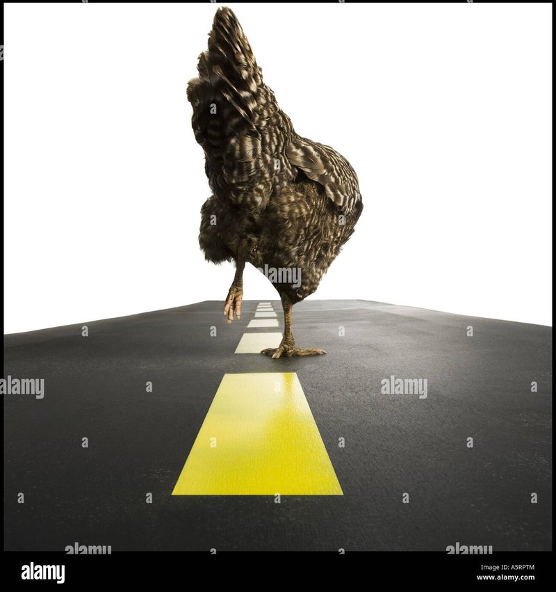 Descubre el Juego de Azar de Chicken Road 2 en Casinos Españoles - overview
